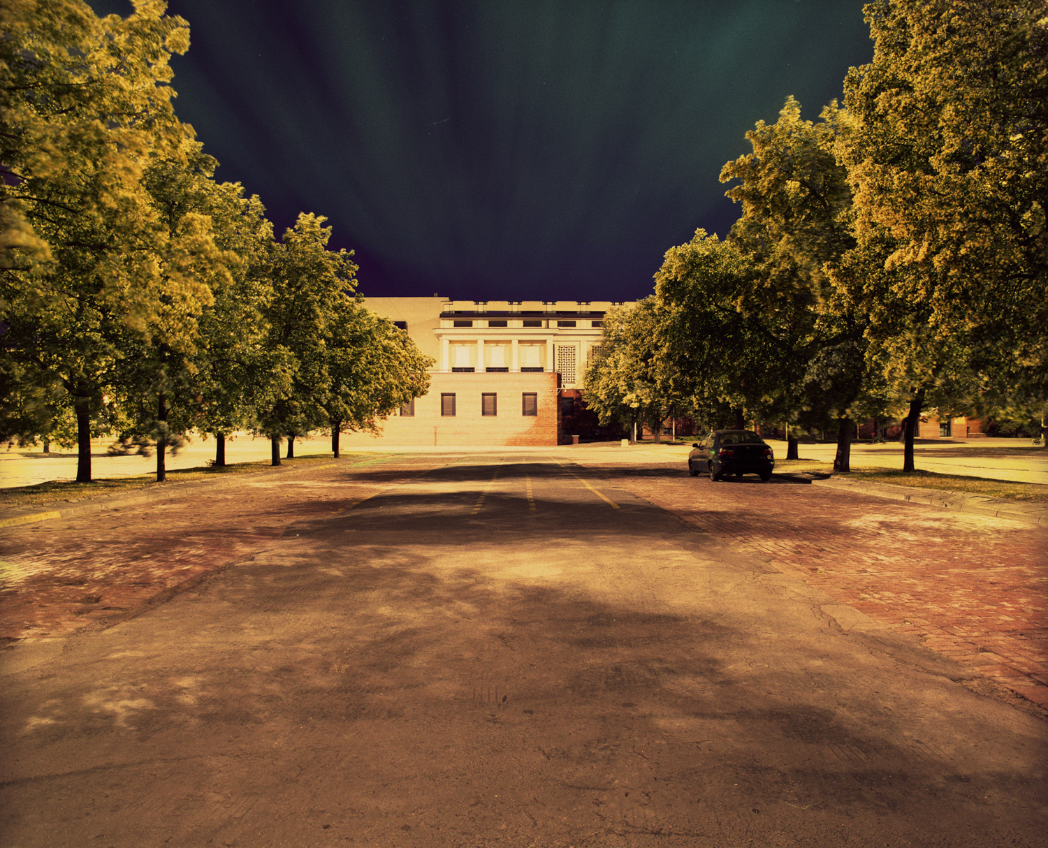 from the series Night Light